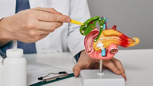 Bile-related Problems & Biliary Dyskinesia - Dr. Kartick Das