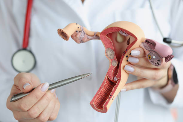 Women's Health & Gynecological Care - Dr. Kartick Das